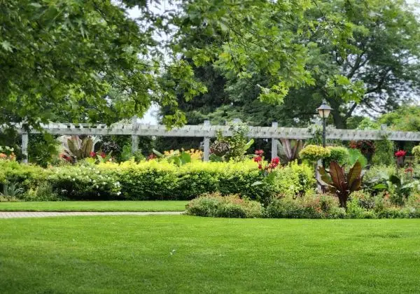 Garden and green spaces visual
